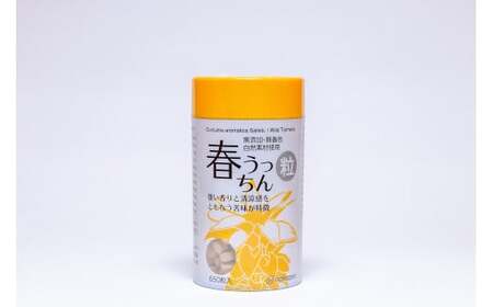 ウコンのふるさと沖縄南城市【春うこん粒】