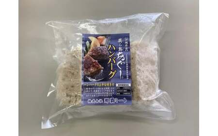 [2ヶ月定期便][美ら島あぐ〜]冷凍ハンバーグ