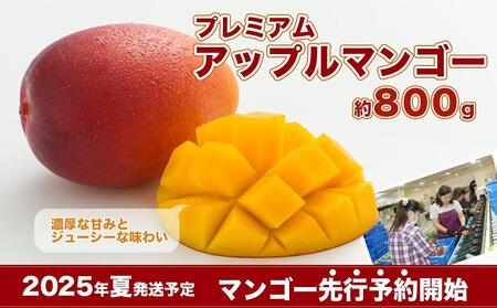 【先行予約】数量限定　ギフト用プレミアムアップルマンゴー800g