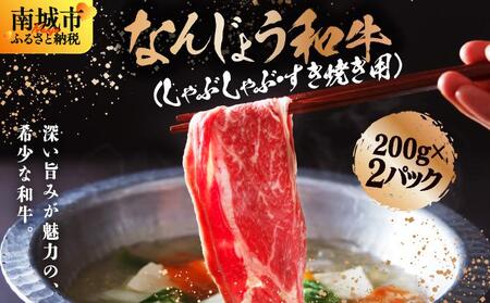 [極上の味わい]和牛しゃぶしゃぶ用 200g×2パック 合計400g なんじょう和牛|黒毛和牛 しゃぶしゃぶ 牛肉 沖縄県 南城市 送料無料[TM01]