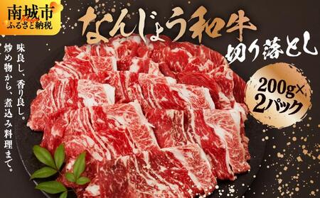 [使い勝手抜群!!] 和牛切り落とし 200g×2パック なんじょう和牛 合計400g |黒毛和牛 和牛 切り落とし モモ ウデ バラ 沖縄県 南城市 牛肉[TM03]