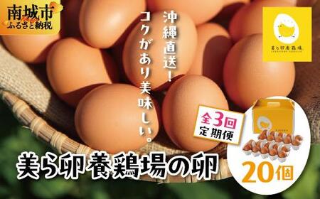 卵の黄身が掴めるほどの新鮮さ 美ら卵養鶏場の卵 20個[3ヶ月定期便]