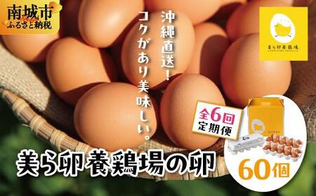 ̉g͂߂قǂ̐VN 痑{{̗ 60y6ցz