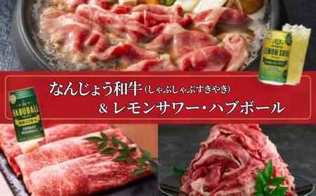 なんじょう和牛(しゃぶしゃぶすきやき)&レモンサワー・ハブボール BG102 I なんじょう和牛 しゃぶしゃぶ すきやき 和牛 和牛セット 酒セット レモンサワー ハブボール お肉お酒セット ギフト 沖縄県 南城市