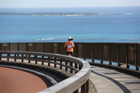 100K Eg}\ 100km̕ o1l