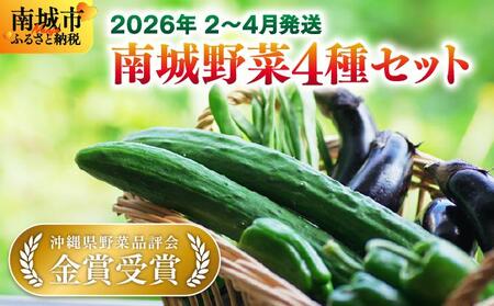【先行予約】若手農家が作る南城野菜セット   I  野菜 ピーマン きゅうり いんげん なす  沖縄県 南城市