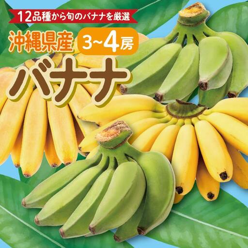 高原の駅なんじょうバナナ3〜4房(12品種から旬のものを詰合せ)