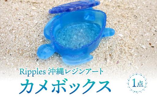 カメボックス[DP21]   