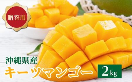 �L�[�c�}���S�[2kg  �����p