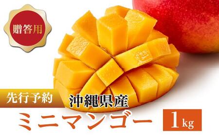 ミニマンゴー1kg 贈答用