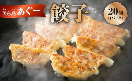 [美ら島あぐ〜]餃子(20個入り/1パック×20個入り) I アグー豚 あぐー豚 あぐ〜豚 豚肉 ぶた肉 ブランド豚 餃子 ぎょうざ 冷凍食品 おかず おつまみ 沖縄県 南城市 ふるさと納税 那覇ミート