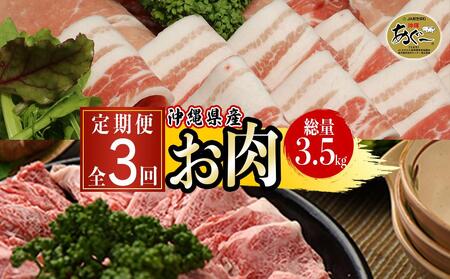 沖縄県産お肉の定期便(全3回)