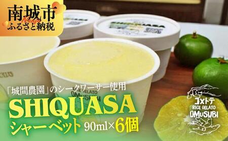 SHIIQUASA V[xbg