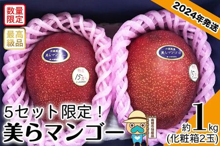 [2024年発送・5セット限定]完熟美らマンゴー約1kg(化粧箱)2玉