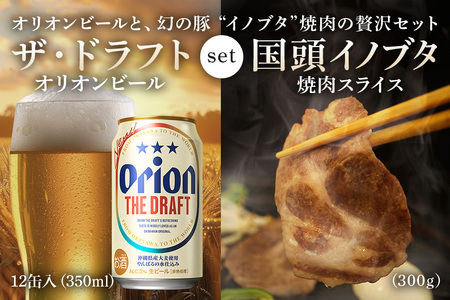 [ビール特産品セット]オリオン ザ・ドラフト12本&旨み凝縮!国頭イノブタ