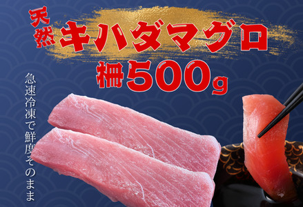 天然キハダマグロ(500g) [冷凍/柵]〜海人からの贈り物〜