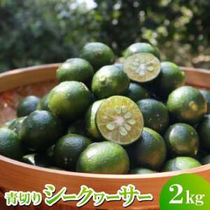 [2025年9月〜10月の発送]ゆいゆい国頭が厳選した青切りシークヮーサー2kg