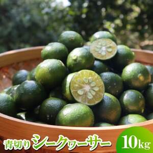 y2026N9珇z̉w 䂢䂢I؂V[N[T[10kgy1584611z