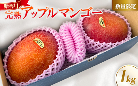 [2026年6月中旬から順次発送]贈答用のアップルマンゴー1kg[配送不可地域:離島]