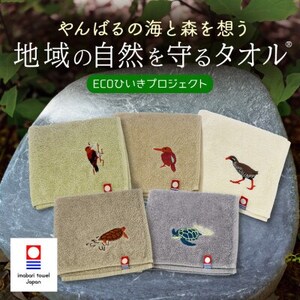 地域の自然を守るタオル やんばるの自然を想う 5枚セット 今治タオル
