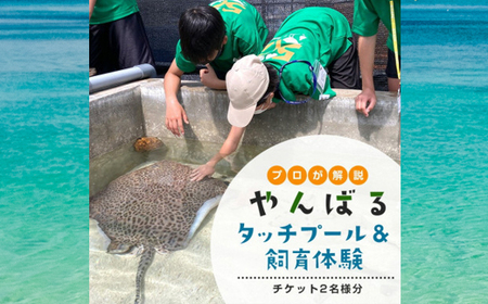 見て・触って・学べる!やんばるタッチプール&飼育体験チケット2名様