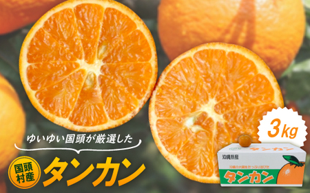 y2026N1珇z䂢䂢IY^J3kgy1651875z