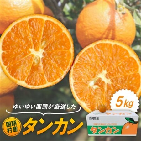 【2027年1月から順次発送】国頭村産 タンカン 5kg やんばるの人気柑橘 濃厚な甘みとコク【1651876】