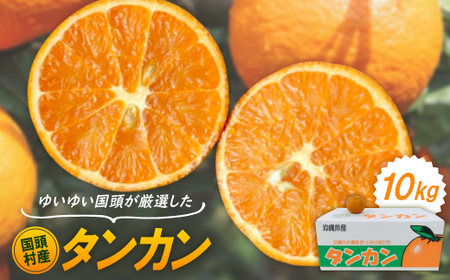 y2026N1珇z䂢䂢IY^J10kgy1651882z