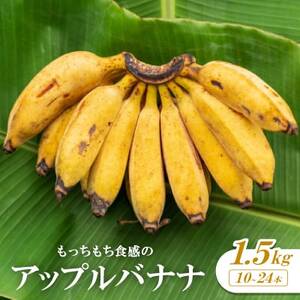 y2026N1珇zH̃Abvoii1.5kg(10`24{)y1578861z