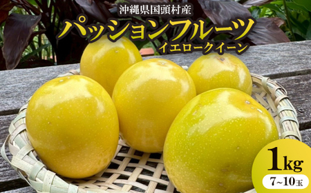 y2025N12珇zYpbVt[c CG[NC[ 1kg(7`10)y1662107z