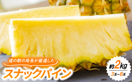 y2026N7{菇z̉w̋ǒIuXibNpCv2kg(3ʁ`6)yzsnFzy1676720z