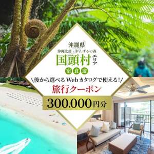 cA[ {Ŗk΂鍑 ォIׂWebJ^OsN[|(300,000~)y1684165z