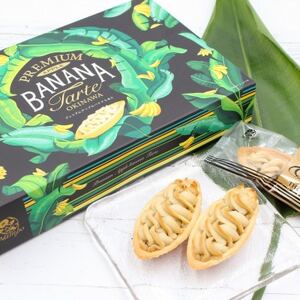 yYAbvoiigpzv~AAbvoii v20(10×2)y1692458z