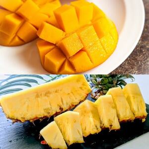 yŒցz2t[cZbg Abv}S[pCibvS2yzsnFzy4078648z