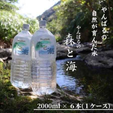国頭村のおいしい水 やんばるの森と海 2000ml×6本