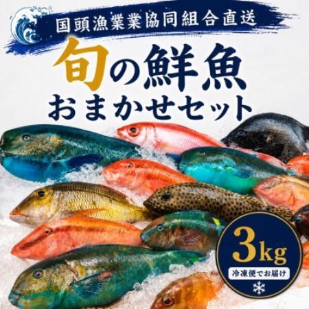 【国頭漁業協同組合直送】旬の鮮魚おまかせセット 3kg(4～8種類)【配送不可地域：離島】【1738197】