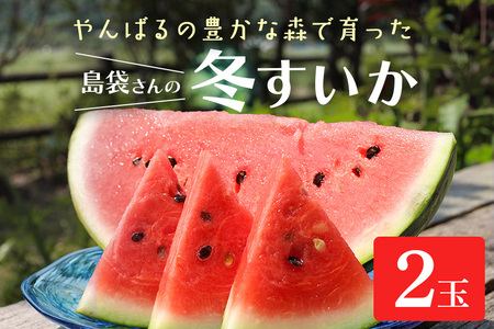 [2025年発送 先行予約]島袋さんの冬スイカ[4〜5Kg×2玉]