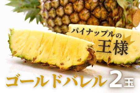 先行予約【2023年5月発送】沖縄県産パインの王様　ゴールドバレル（1.7kg程度）２玉