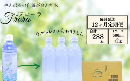 ふるさと納税 【定期便】白山水流天然水500ml・24本入×6回（毎月