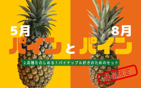 パイン&パインセット 沖縄県産パイナップル2種[5月ゴールドバレル・8月Nパイン]