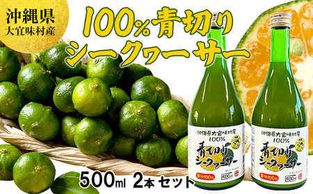 沖縄県大宜味村産100% 青切りシークヮーサー1リットル(500ml2本セット) シークヮーサー シークヮーサー シークヮーサー シークヮーサー
