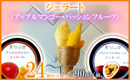 WF[g90ml×24iAbv}S[WF[g12EpbVt[cWF[g12j pbV }S[ pbVt[c ܂񂲁[ Mtg oYj a p v[