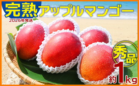 マンゴー[2026年発送]完熟アップルマンゴー秀品・約1kg