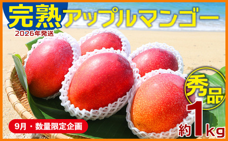マンゴー[9月・数量限定企画][2026年発送]完熟アップルマンゴー秀品・約1kg