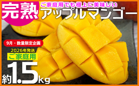 マンゴー[9月・数量限定企画][2026年発送]ご家庭用完熟アップルマンゴー約1.5kg