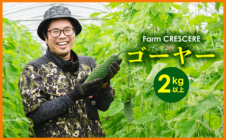 [Farm CRESCERE]ゴーヤー2kg以上 沖縄 大宜味村 ゴーヤー ごーやー チャンプルー 野菜 ふるさと納税 送料無料 沖縄料理 おかず サラダ アレンジ料理 ご当地 郷土料理 ちゃんぷるー 常温 プレゼント 食べ物 2kg