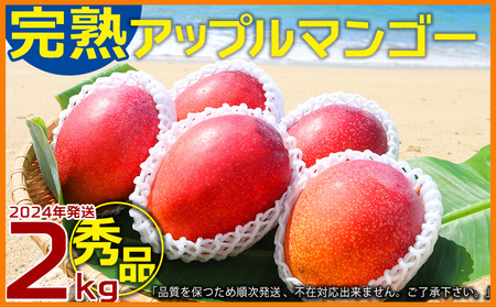 農園一番人気の完熟アップルマンゴー　秀品・約2kg【2022年発送】農園から直送！