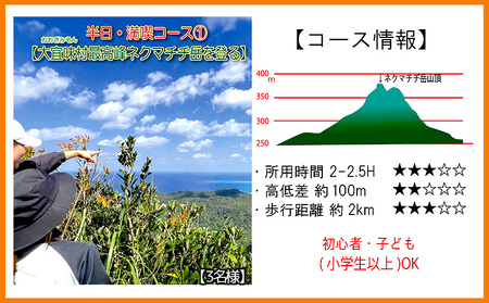 沖縄県北部やんばる・大宜味村最高峰ネクマチヂ岳を登る【3名様】