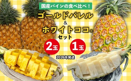 国産パインの食べ比べ!ゴールドバレル(2玉)&ホワイトココ(1玉)セット[2026年発送] パイン パインアップル パイナップル ゴールドバレル ホワイトココ 数量限定 食べ比べ お試し ジューシー 希少 生産量日本一 国産 おいしい 南国 トロピカル 予約 先行予約 沖縄 東村 [ 提供事業者:サンライズひがし]