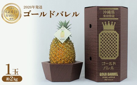 東村産 ゴールドバレルパイン1(1玉・約2kg)[2026年発送] ゴールドバレル パインアップル パイナップル パイン 国産パイン 国産 生産量日本一 ゴールドバレルパイン 甘い おいしい 希少 バレル 人気 ジューシー 南国 トロピカル 予約 先行予約 沖縄 東村 [ 提供事業者:サンライズひがし]